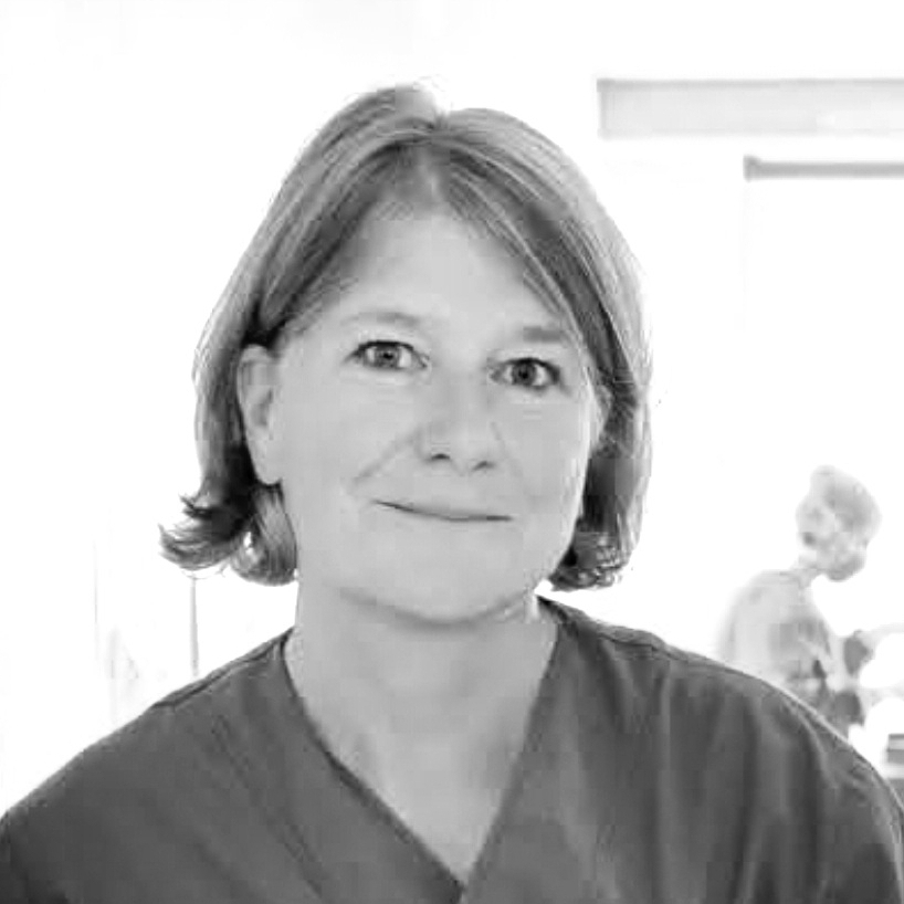 Inge Van Herreweghe